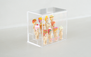 Sonny Angel Acrylic Display Case - Desk Gift Display