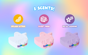 Rainbomb Unicorn - Sweet Ready