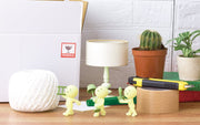 SMISKI Moving Series - Charming Display Ready