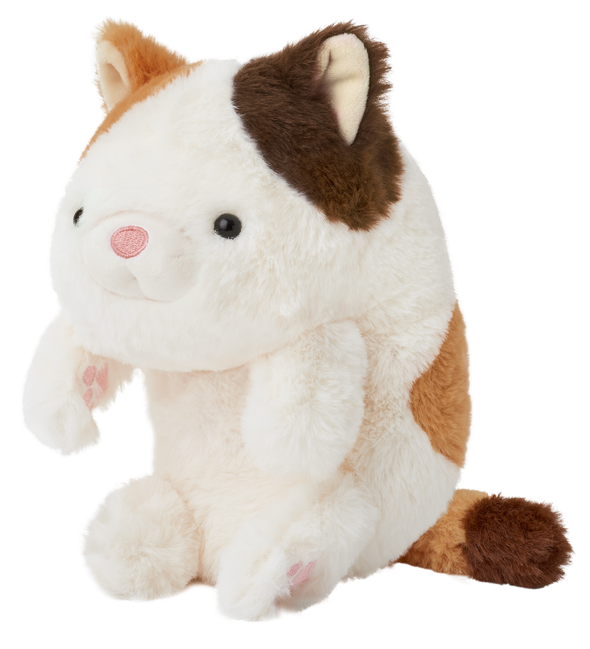 Posture Pal - Sweet Accent