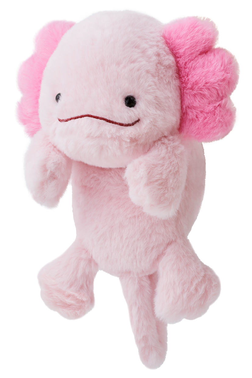 Posture Pal - Sweet Accent