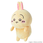 Posture Pal - CHiiKAWA - Collector Display