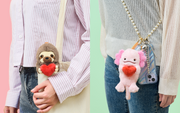 Posture Pal - Cute Display Choice