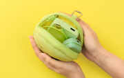 SMISKI Cushion Pouch - Collector Case