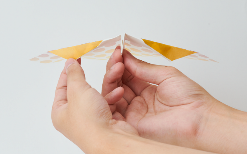 Papillon Origami Airplanes - Gift Pocket Buddy