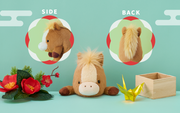 Posture Pal - Little Display Ready