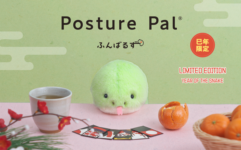 Posture Pal - Travel Ready