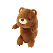 Posture Pal - Sweet Accent